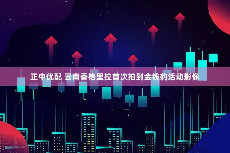 正中优配 云南香格里拉首次拍到金钱豹活动影像