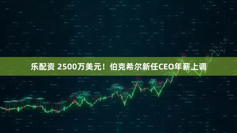 乐配资 2500万美元！伯克希尔新任CEO年薪上调
