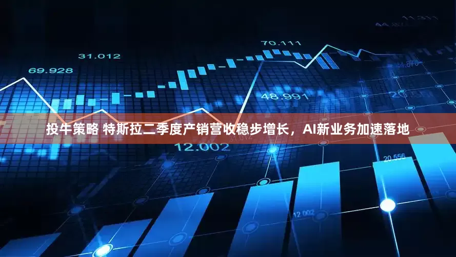 投牛策略 特斯拉二季度产销营收稳步增长，AI新业务加速落地