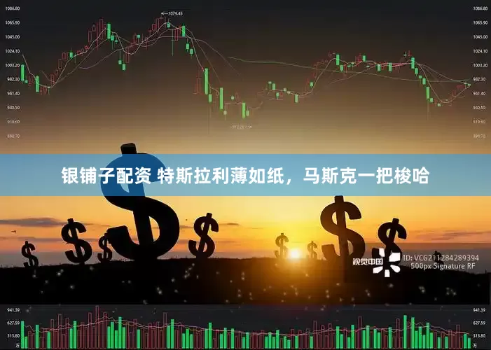银铺子配资 特斯拉利薄如纸，马斯克一把梭哈